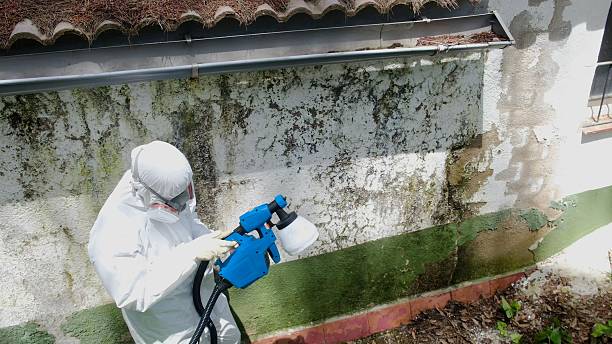 Top rated local Mold Remediation specialists in Oxford, GA